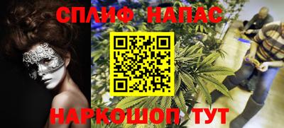 шишки Канаш
